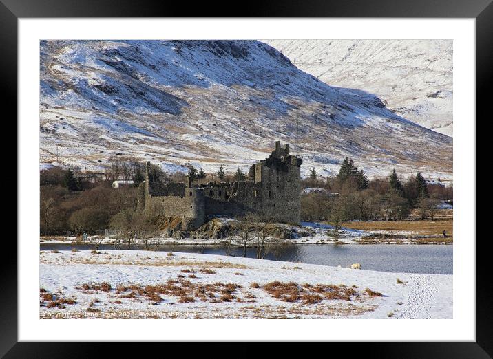 Winter Wonderland at Kilchurn Castle Framed Mounted Print by Jane Braat