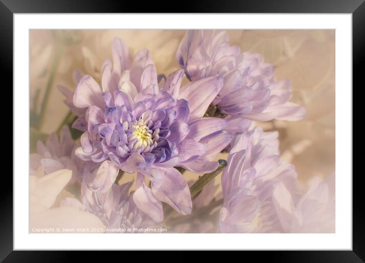 Plant flower Framed Mounted Print by Jason Atack