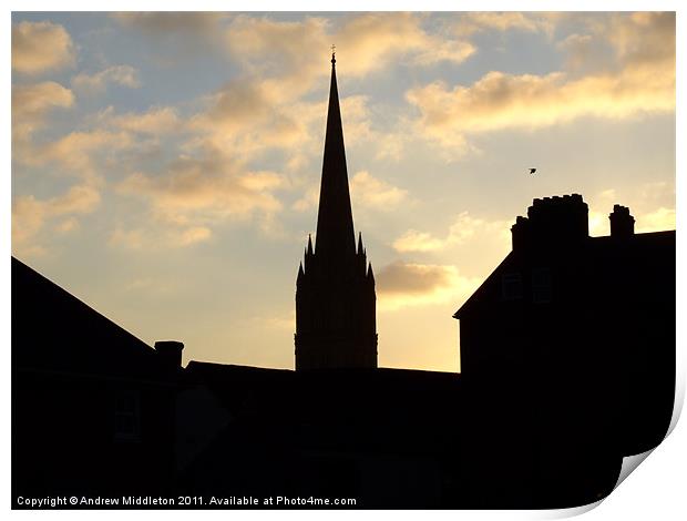 Salisbury Cathedral Print by Andrew Middleton