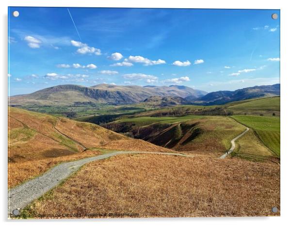 Lake District Acrylic by Gemma De Cet