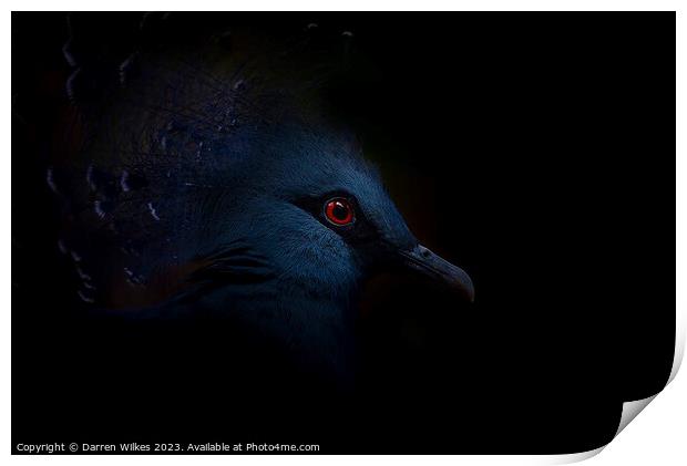 Crowned Pigeon - Left Side Print by Darren Wilkes
