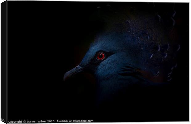 Crowned Pigeon - Right Side Canvas Print by Darren Wilkes