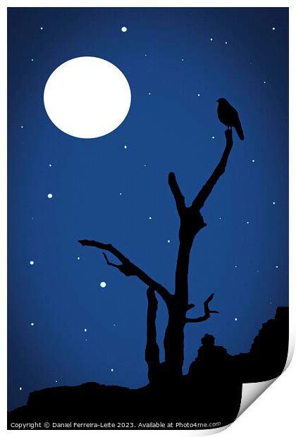 Midnight magic landscape illustration Print by Daniel Ferreira-Leite