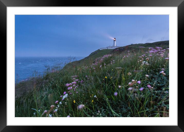 Wildflowers at Mull of Galloway Lighthouse Framed Mounted Print by Fraser Duff
