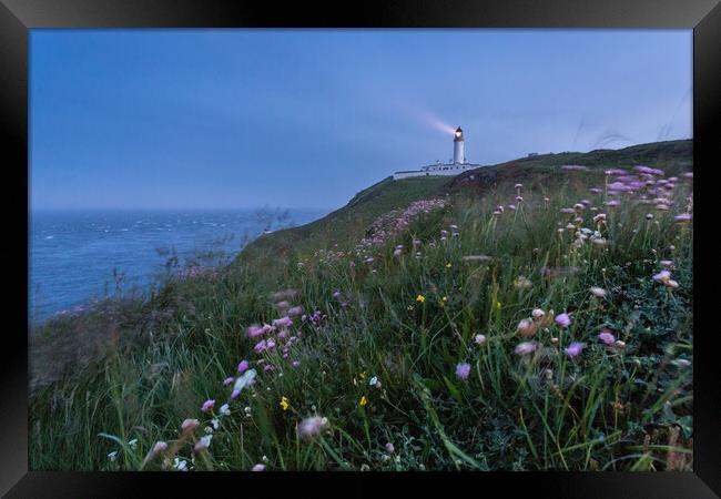 Wildflowers at Mull of Galloway Lighthouse Framed Print by Fraser Duff