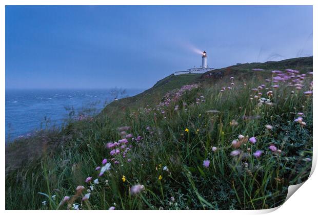 Wildflowers at Mull of Galloway Lighthouse Print by Fraser Duff