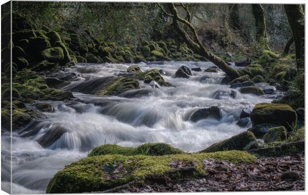 Okement Cascades, Okehampton, Dartmoor Canvas Print by Jo Sowden