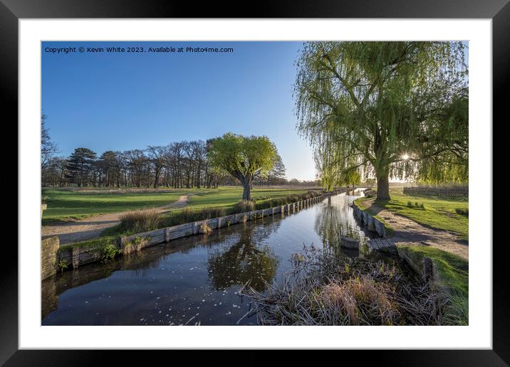 April morning sun at Bushy Park ponds Framed Mounted Print by Kevin White