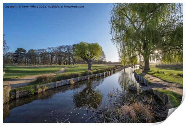 April morning sun at Bushy Park ponds Print by Kevin White