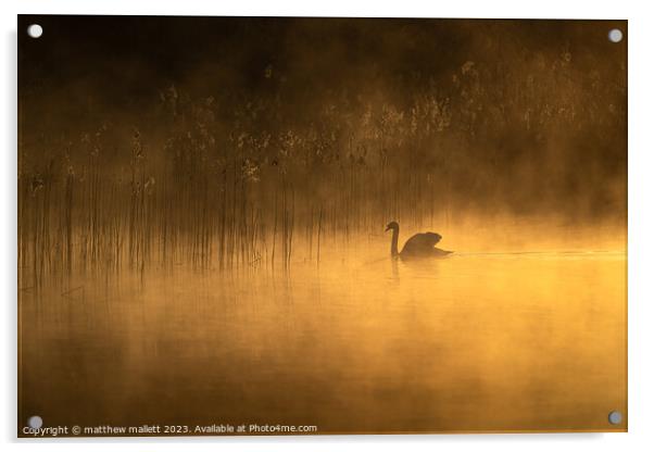 Misty Selbrigg Pond Acrylic by matthew  mallett