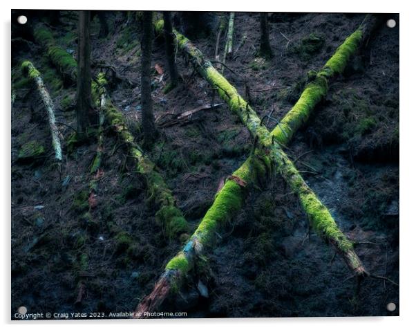 Woodland X Acrylic by Craig Yates