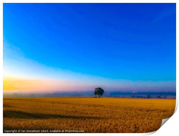 Lone Tree Print by Ian Donaldson