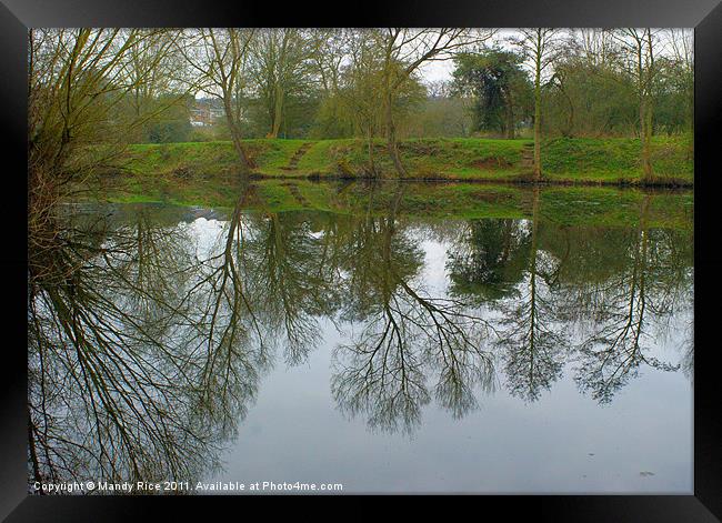 Reflections of trees in lake Framed Print by Mandy Rice