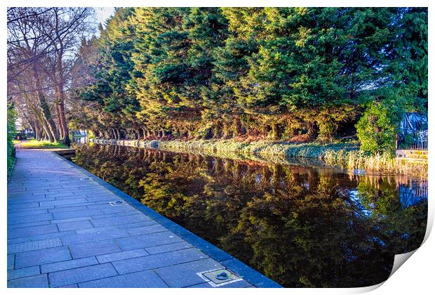 A Serene Journey Through Ripon Canal Print by Steve Smith