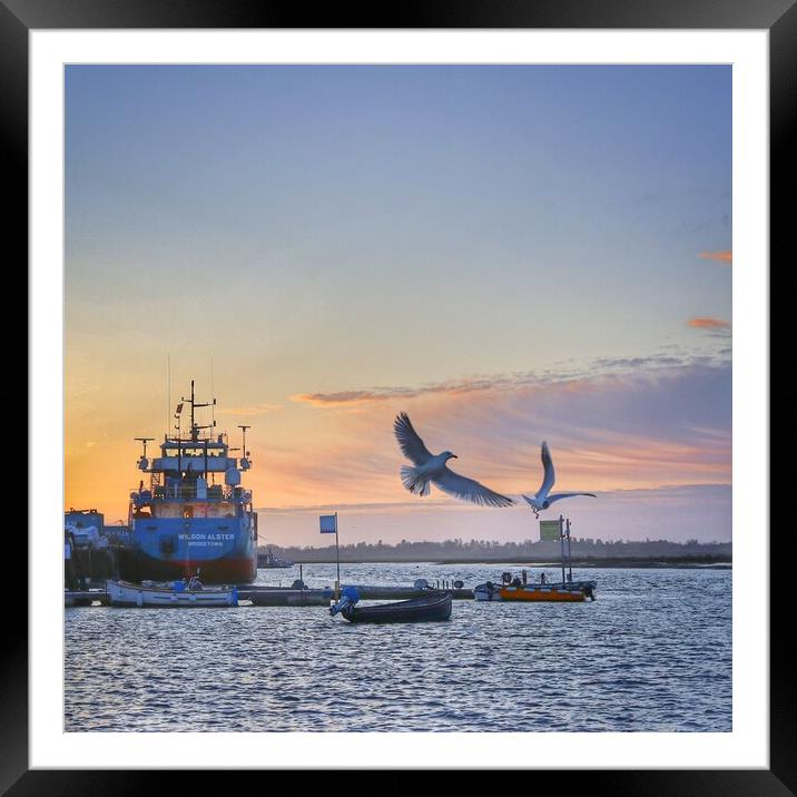 Morning colours over Brightlingsea Harbour  Framed Mounted Print by Tony lopez