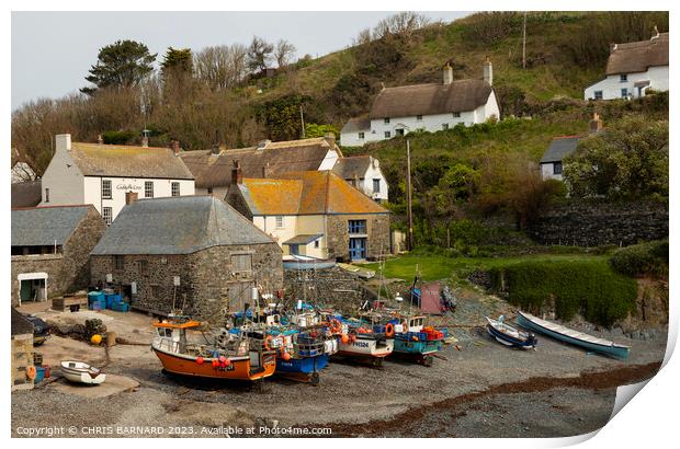 The small harbour at Cadgwith Cove on the Lizard Coast of Cornwall Print by CHRIS BARNARD