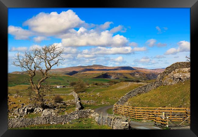 Ingleborough View Framed Print by Trevor Camp