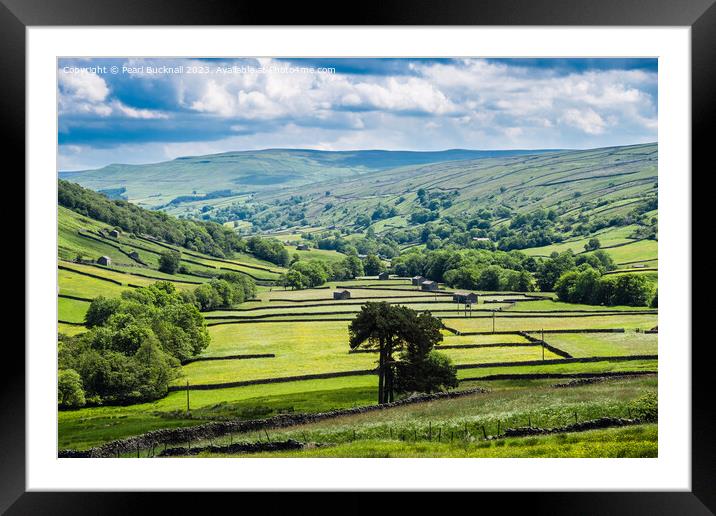 Barns and Walls in Upper Swaledale Yorkshire Dales Framed Mounted Print by Pearl Bucknall