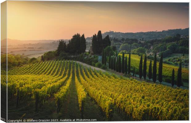 Maremma landscape. Vineyards at sunset. Tuscany Canvas Print by Stefano Orazzini