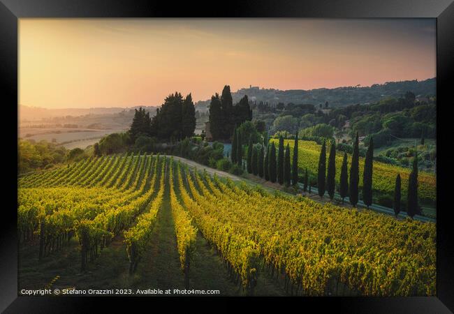 Maremma landscape. Vineyards at sunset. Tuscany Framed Print by Stefano Orazzini