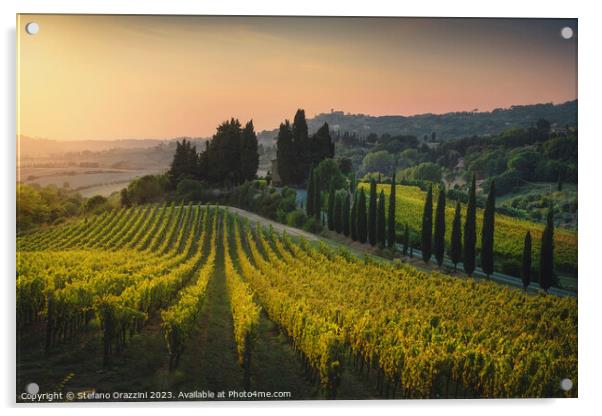 Maremma landscape. Vineyards at sunset. Tuscany Acrylic by Stefano Orazzini