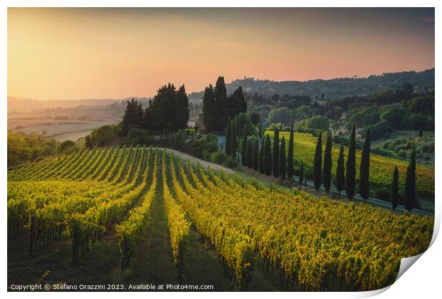 Maremma landscape. Vineyards at sunset. Tuscany Print by Stefano Orazzini