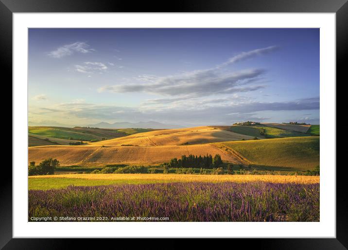 Lavender in Tuscany, hills and green fields. Santa Luce, Pisa. Framed Mounted Print by Stefano Orazzini