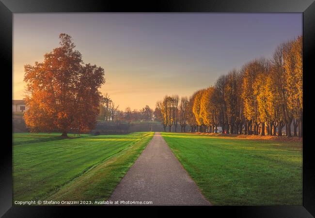 A path along the walls of Lucca on an autumn morning. Italy Framed Print by Stefano Orazzini