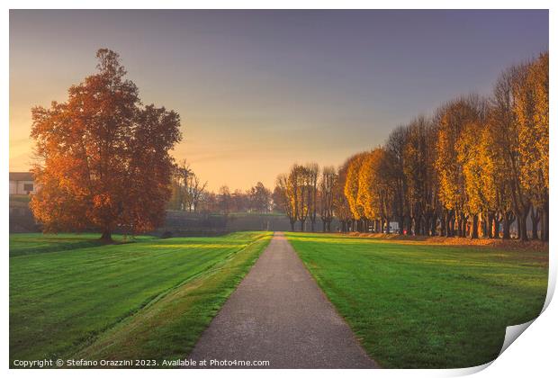 A path along the walls of Lucca on an autumn morning. Italy Print by Stefano Orazzini
