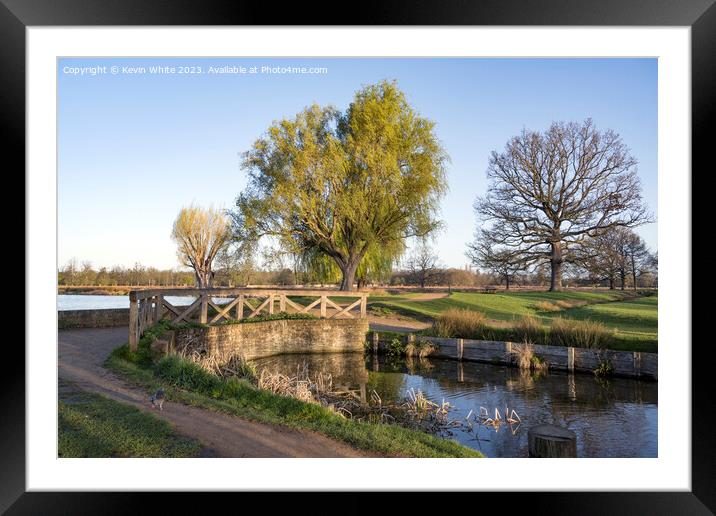 Morning sun catches on the bridge between ponds Framed Mounted Print by Kevin White