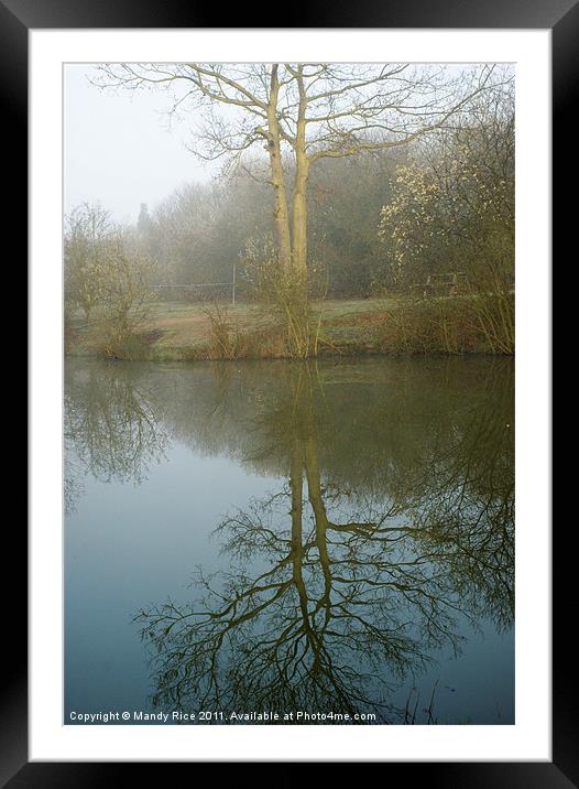 Reflection of tree on water Framed Mounted Print by Mandy Rice