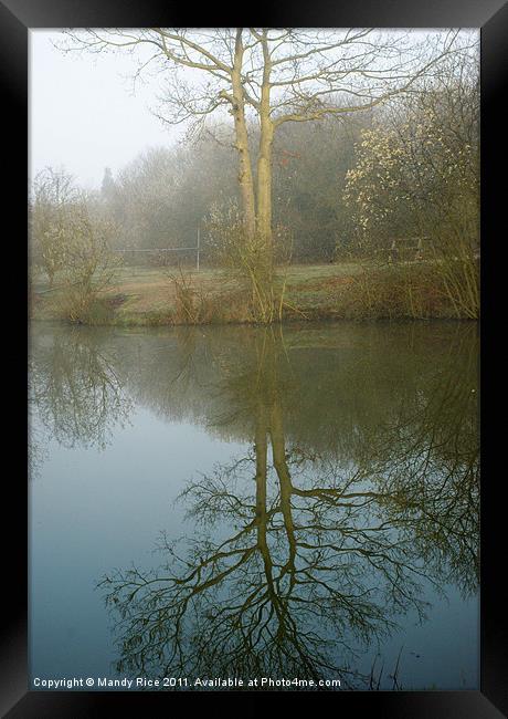 Reflection of tree on water Framed Print by Mandy Rice