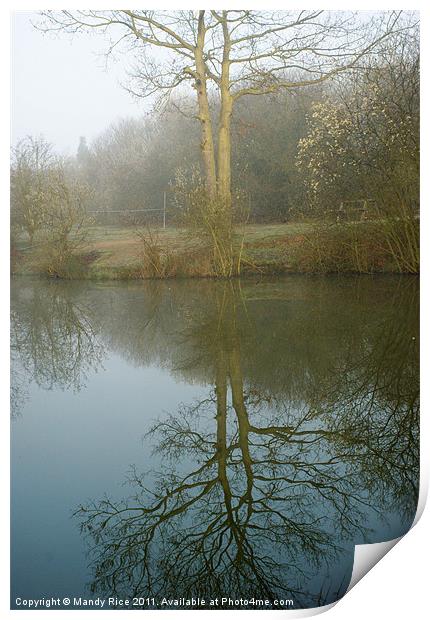 Reflection of tree on water Print by Mandy Rice