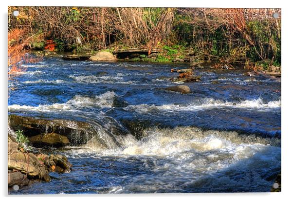 River Rhymney Acrylic by Steve Purnell