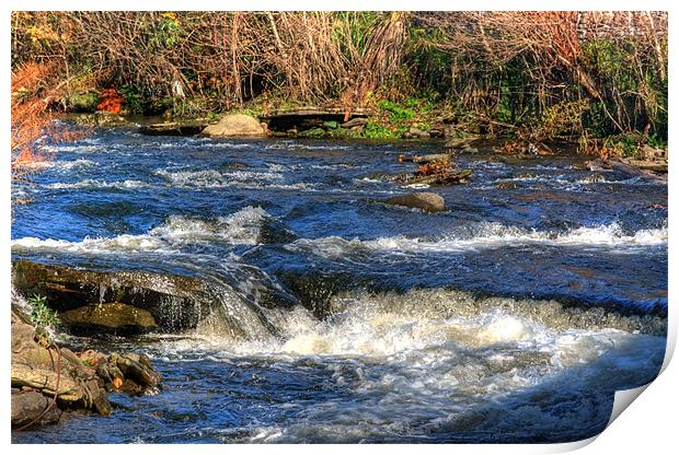 River Rhymney Print by Steve Purnell