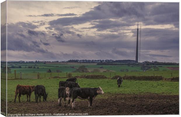 The Emley Moor Bunch Canvas Print by Richard Perks
