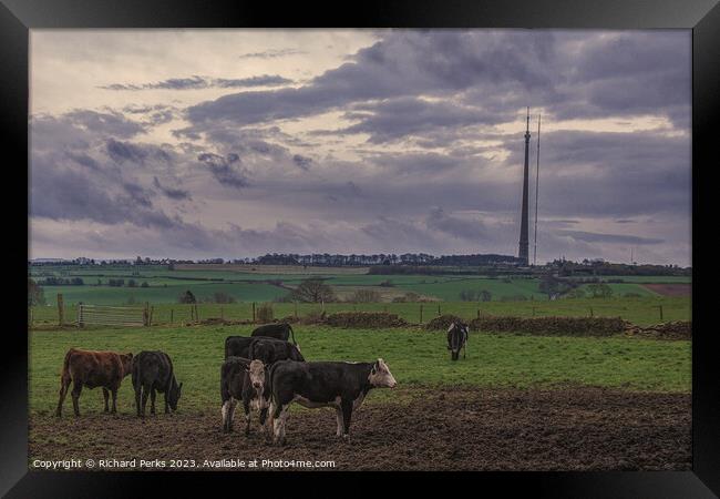 The Emley Moor Bunch Framed Print by Richard Perks