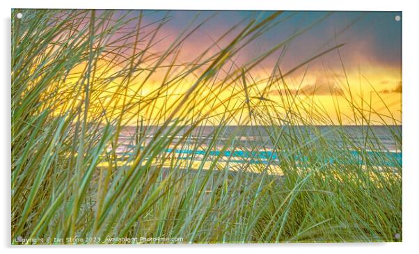 Through the sand dunes  Acrylic by Ian Stone