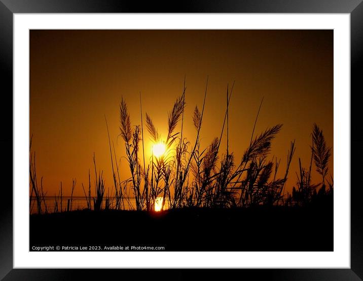 Sunset Serenade Framed Mounted Print by Patricia Lee
