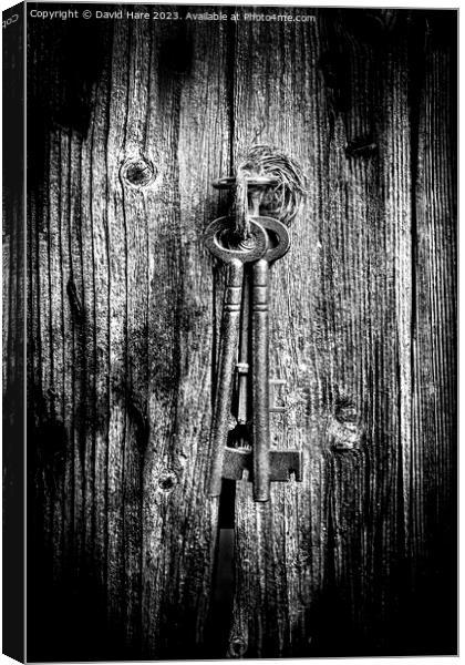 Keys Canvas Print by David Hare