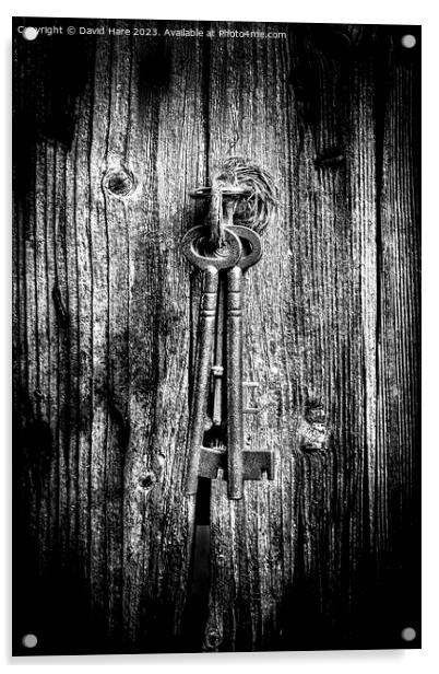 Keys Acrylic by David Hare