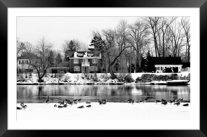 Magical Winter Wonderland in Chippawa Framed Mounted Print by Patricia Lee