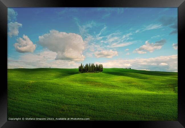 The Cipressini. Cypress Groove in Val d'Orcia. Tuscany, Italy Framed Print by Stefano Orazzini