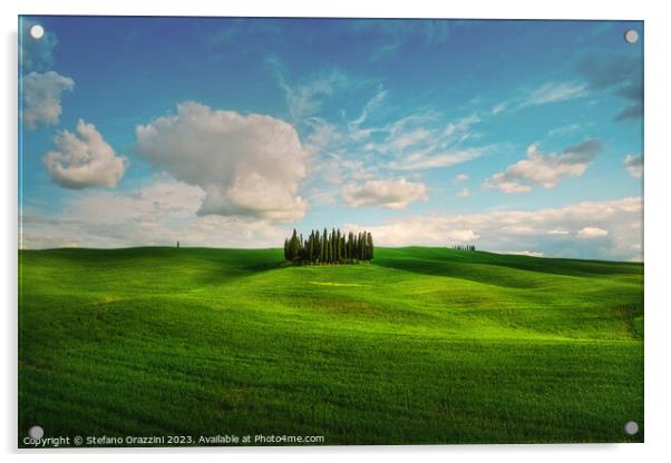 The Cipressini. Cypress Groove in Val d'Orcia. Tuscany, Italy Acrylic by Stefano Orazzini