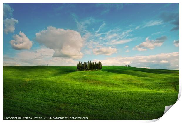 The Cipressini. Cypress Groove in Val d'Orcia. Tuscany, Italy Print by Stefano Orazzini