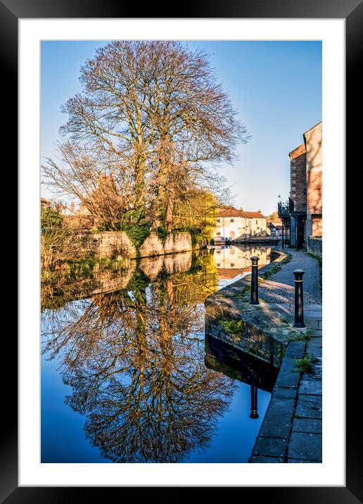 Serenity on Ripon Canal Framed Mounted Print by Tim Hill