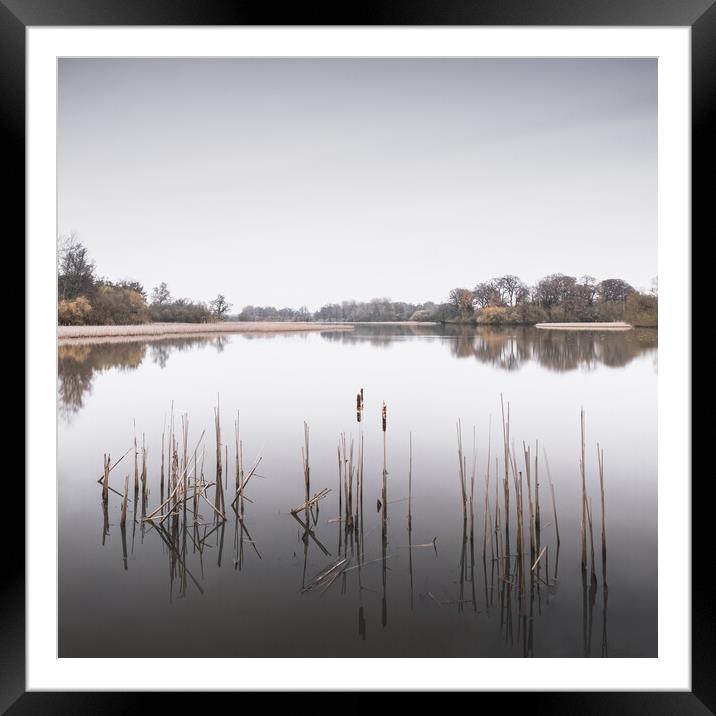 Knepp Mill Pond Framed Mounted Print by Mark Jones