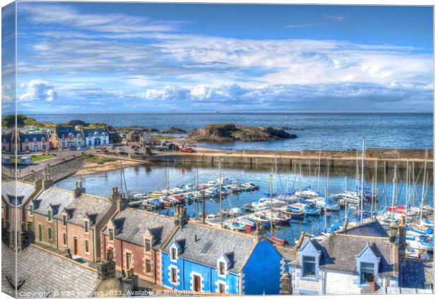 Findochty Harbour & Marina Morayshire North East S Canvas Print by OBT imaging
