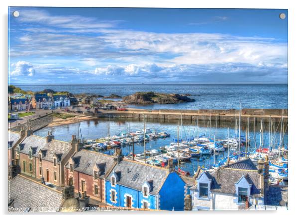 Findochty Harbour & Marina Morayshire North East S Acrylic by OBT imaging