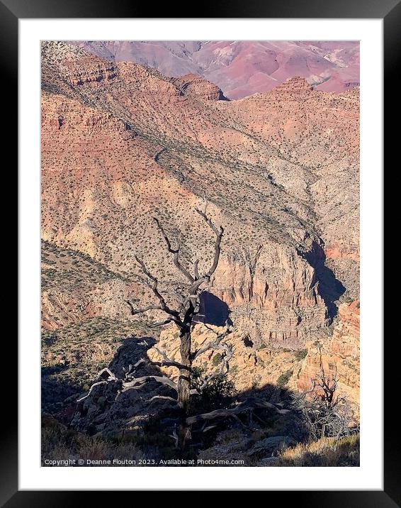 Mesmerizing Sunrise at Dead Tree Canyon Framed Mounted Print by Deanne Flouton